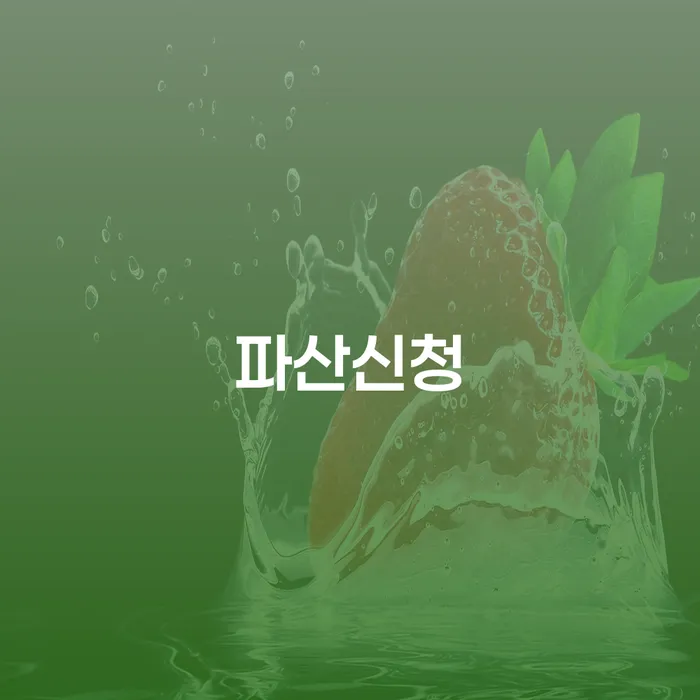도산전문변호사 빚 합법적인 빠른방법 잘하기