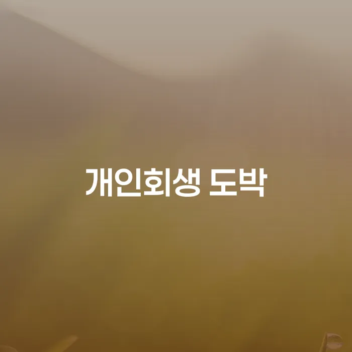 개인파산신고 대출 받은 돈채무조정 선택해야 하는