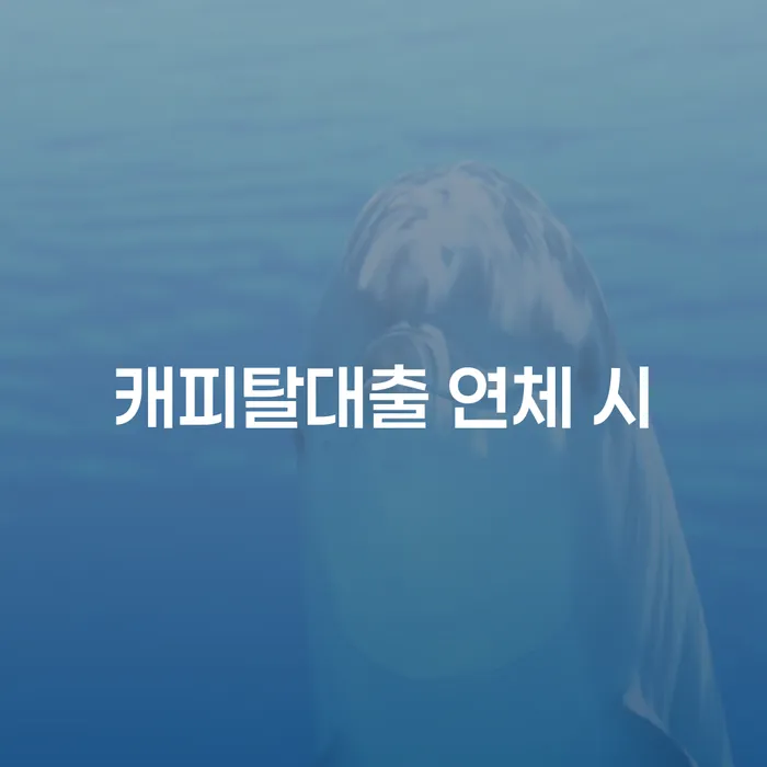 사업자개인회생 빚 합법적인 빠른방법 해결 방법 알려드려요.