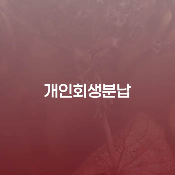 충청남도 연대보증인채무 빚갚는 방법 경험 많은 곳에서