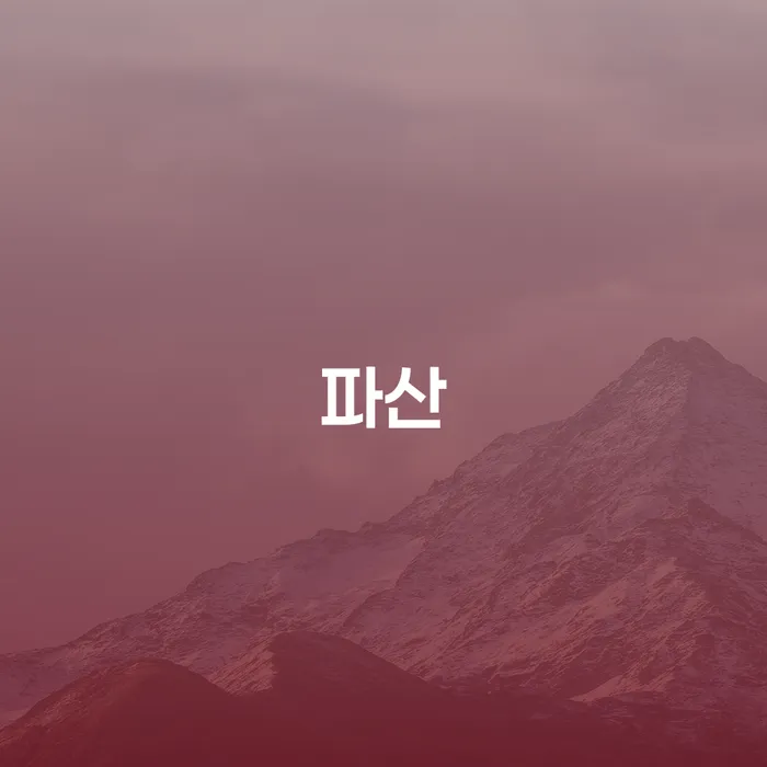 안동시 개인회생수수료 신용회복 경험 많은 곳에서