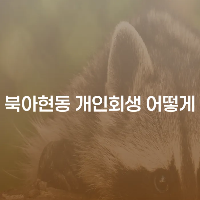 북아현동 개인회생 어떻게