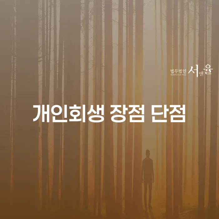 소공동 개인회생 장점과 단점 분석