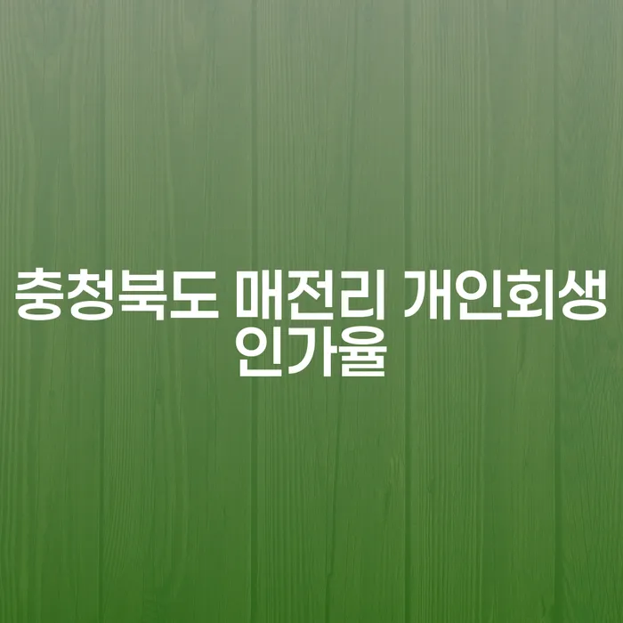 충청북도 매전리 개인회생인가율, 채무 해결을 위한 최선의 선택인가요?