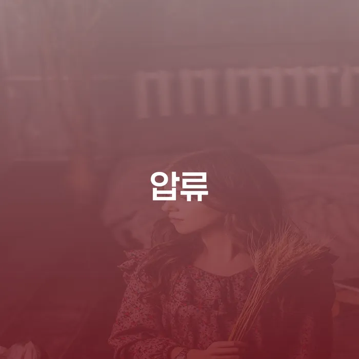 압류로부터 자유로워질 수 있는 방법은 무엇일까요?