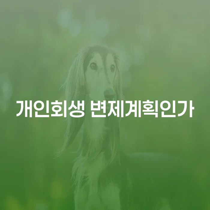 개인회생 변제계획인가를 준비하는 방법과 면책적채무인수에 대한 이해